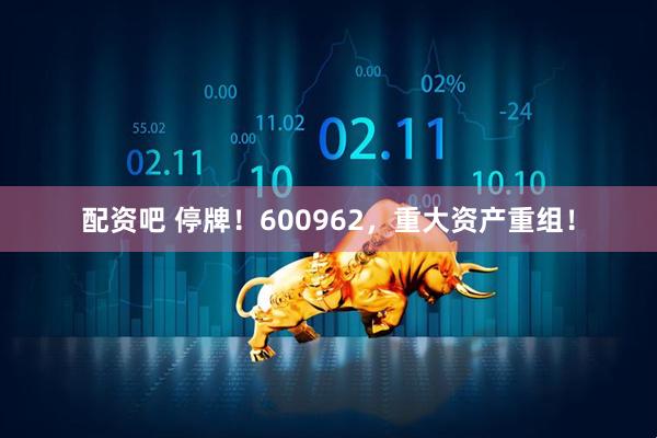 配资吧 停牌！600962，重大资产重组！