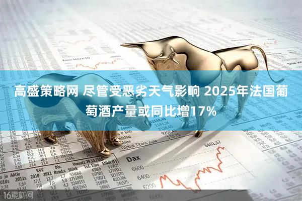 高盛策略网 尽管受恶劣天气影响 2025年法国葡萄酒产量或同比增17%