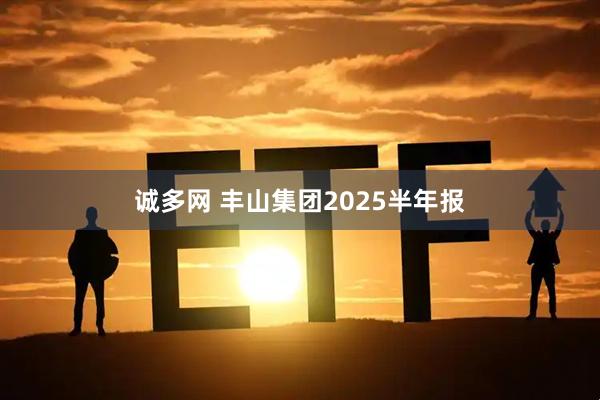 诚多网 丰山集团2025半年报